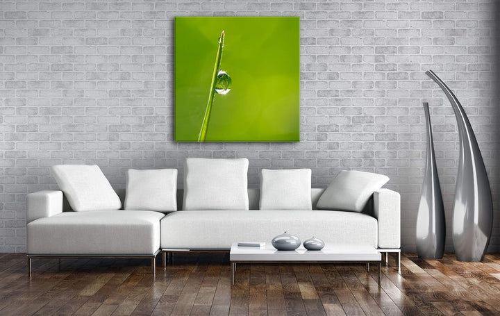 deyoli einzelner Grashalm mit Regentropfen Format: 60x60 als Leinwandbild, Motiv fertig gerahmt auf