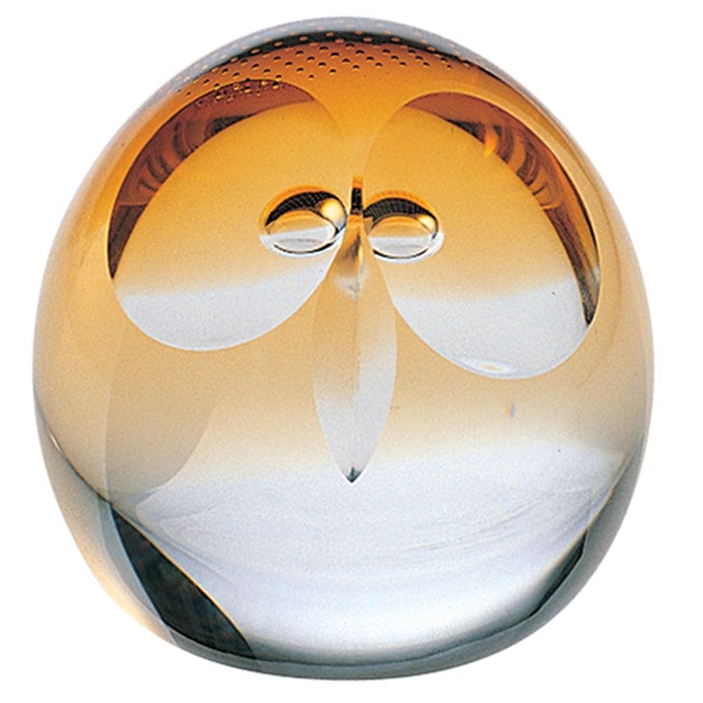 Caithness Glass Piece Crystal Wise Owl Celebrations Briefbeschwerer, mittelgross, transparent/goldfa