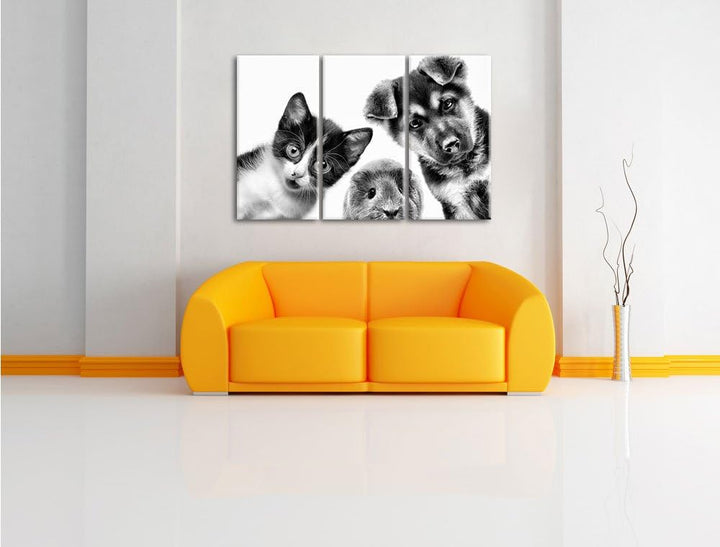 Pixxprint Trio Hund Katze Meerschwein als Leinwandbild/Grösse: 3 Teilig (120x80) cm/Wandbild/Kunstdr