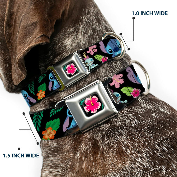 Buckle-Down dc-wdy339-l Dyer Lilo &amp; Stitch Hibiscus Flower Full Color Schwarz/Pink Hundehalsband, gr