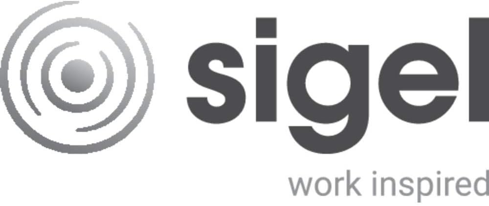 SIGEL VZ204 Visitenkarten-Ringbuch für 160 Karten, aus Rindsleder, mit 20 Sichthüllen und Register A