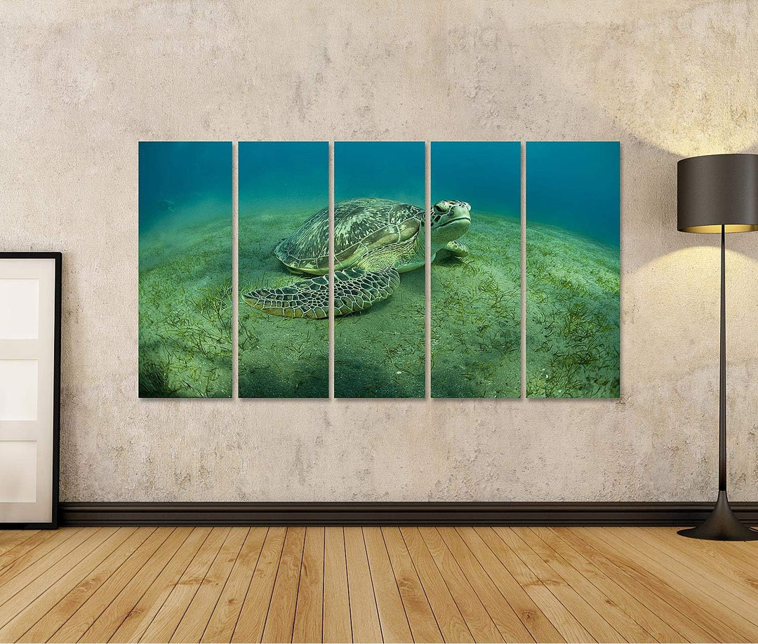 islandburner Bild auf Leinwand Grüne Schildkröte Unterwasser Bilder Wandbilder Poster Leinwand 170x8