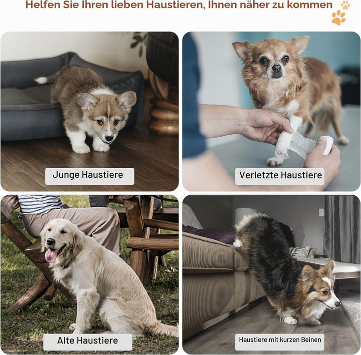 Breiter Hundetreppe 3 Stufen 30cm hoch für Kleine Hunde, Hochdichtem Schaumstoff Haustiertreppe, Was