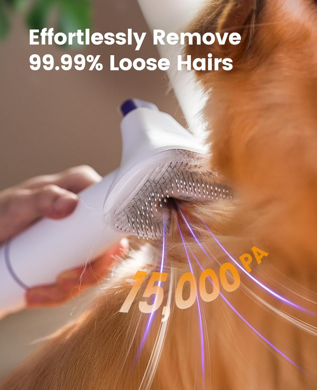 oneisall hundestaubsauger mit bürste, Super Saugkraft mit 12000Pa, Tierhaar staubsauger von der Bürs