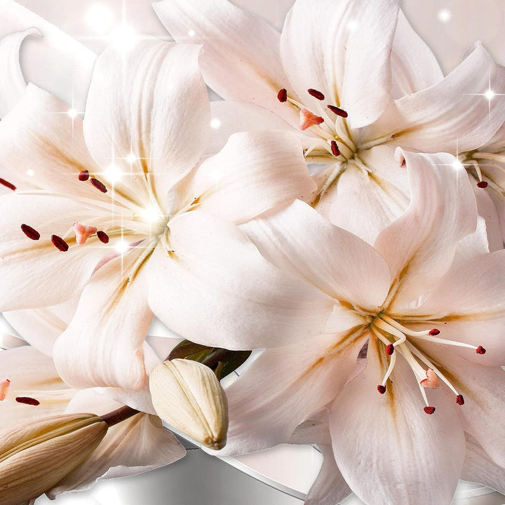 Runa Art Wandbilder Blumen Lilien 5 Teilig Bild auf Vlies Leinwand Deko Wohnzimmer Diamant Beige Gra