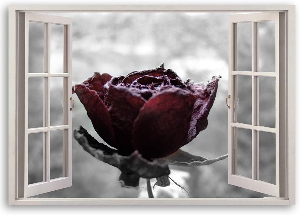 Feeby Leinwandbild 3D Illusion Bild Kunstdruck Rose schwarz-weiss 30x20 cm 30L x 20B cm M_14784, 30L