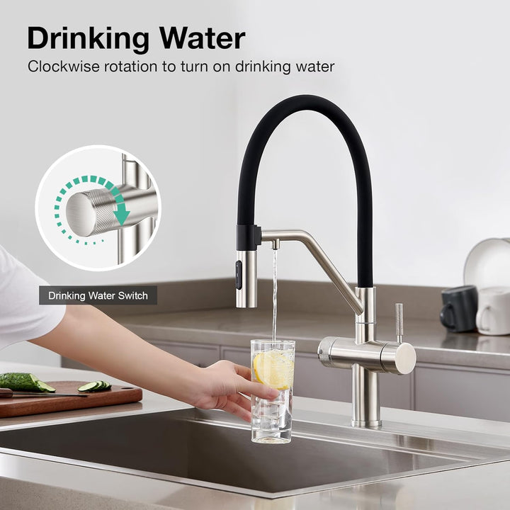 Faustina 3 Wege Küchenarmatur abnehmbar, Doppelhebel Armatur Wasserhahn Küche mit Trinkwasser Osmose