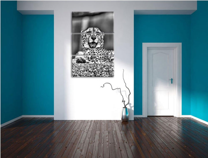 Pixxprint Monocrome, gähnender Gepard 3-Teiler Leinwandbild 120x80 Bild auf Leinwand
