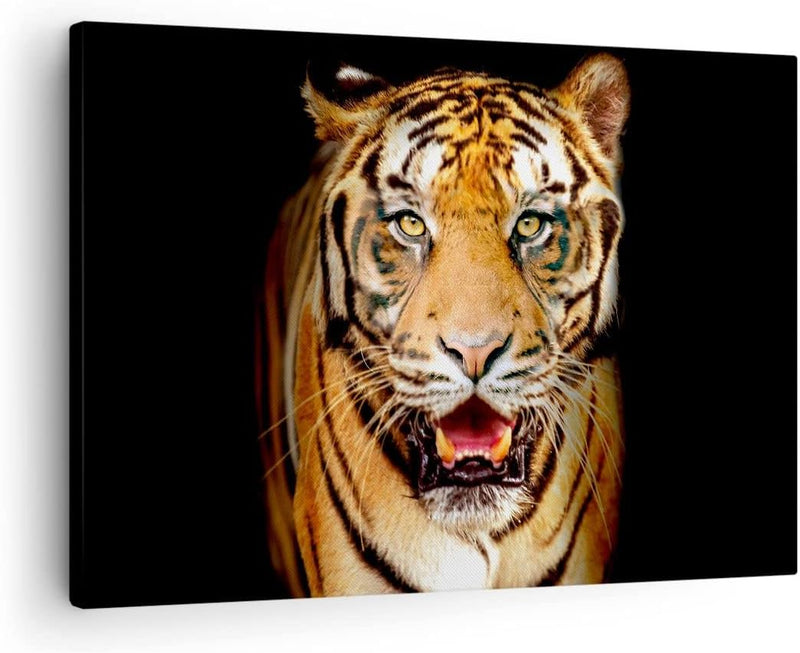 ARTTOR Bilder auf Leinwand tiger tier Leinwandbild mit Rahmen 70x50cm Wandbilder Dekoration Wohnzimm