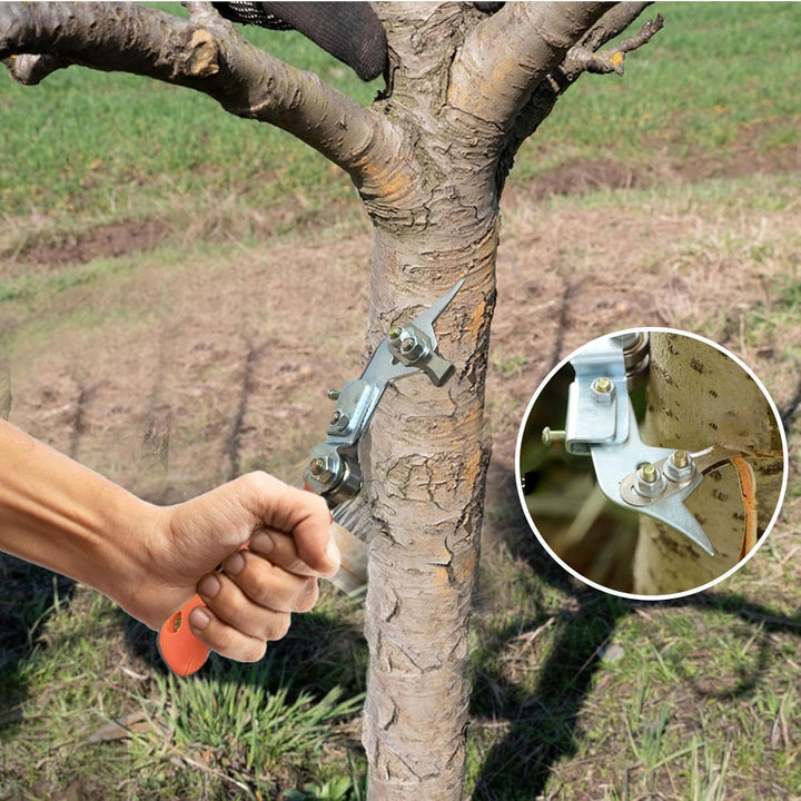Ringborkenschäler Verstellbare Rindenringelung für Obstbäume und Garten | Borkenabstreifer Verstellb