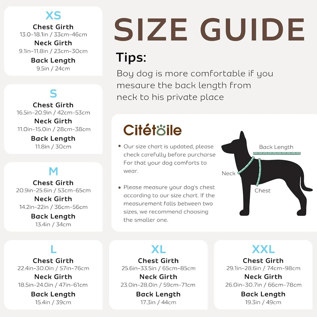 CITÉTOILE Schwimmweste Hund Hai, Hundeschwimmweste &amp; Dog Life Jacket Verstellbar mit Griff und Refle