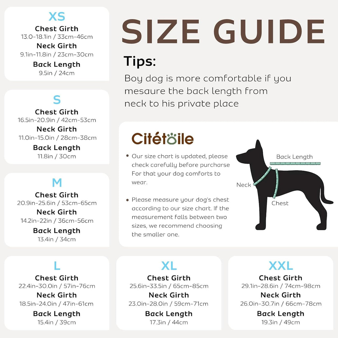 CITÉTOILE Schwimmweste Hund Hai, Hundeschwimmweste &amp; Dog Life Jacket Verstellbar mit Griff und Refle