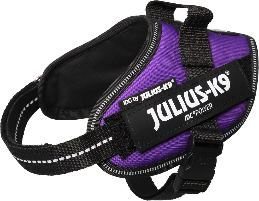 Julius-K9, IDC Powergeschirr, Grösse: XS/Mini-Mini, Dunkelviolett Dunkelviolett XS/Mini-Mini, Dunkel