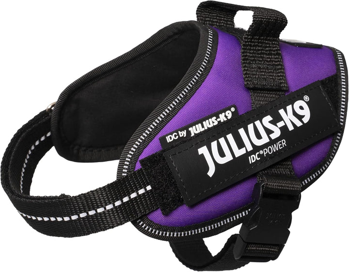 Julius-K9, IDC Powergeschirr, Grösse: XS/Mini-Mini, Dunkelviolett Dunkelviolett XS/Mini-Mini, Dunkel