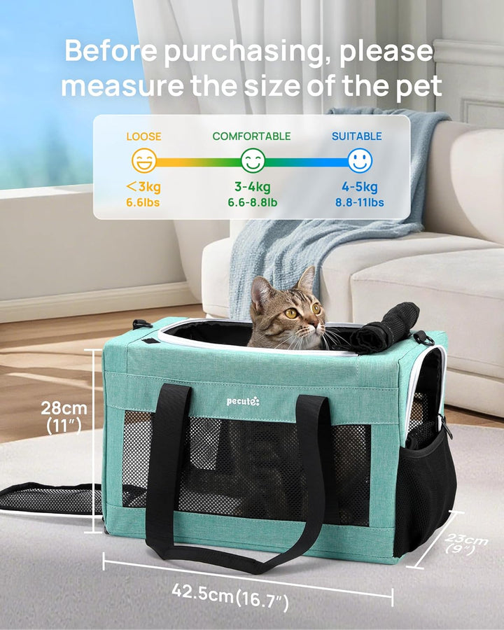 pecute Katzentasche Transporttasche Flugtasche Stabiler Halt Haustier Tragetasche, Transportbox Katz