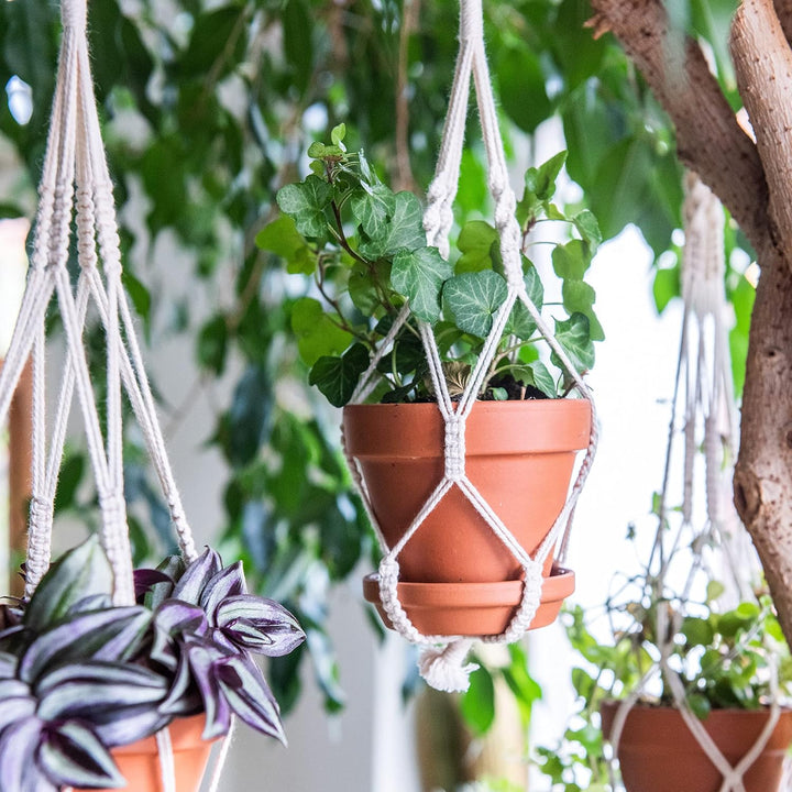 Navaris Makramee Garn 3er Set - Baumwollschnur für DIY Projekte Wandteppich Traumfänger - Natur Baum