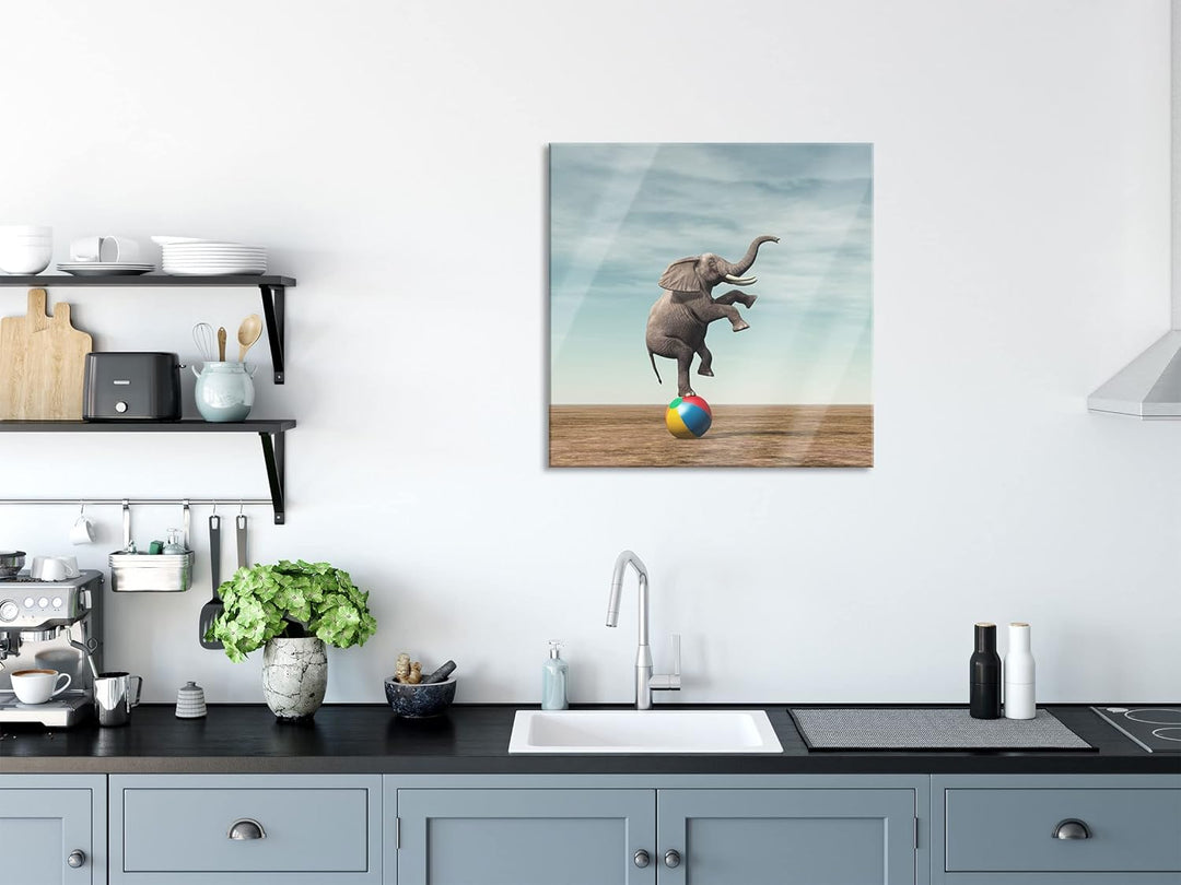 Pixxprint Glasbild | Wandbild auf Echtglas | Elefant in der Wüste balanciert auf Ball | 50x50 cm | i