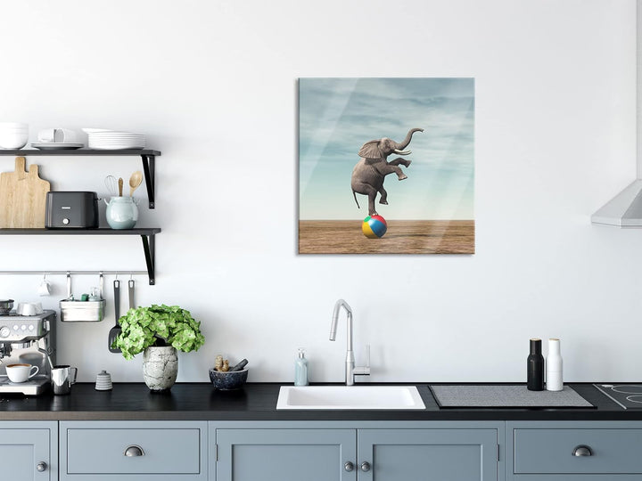 Pixxprint Glasbild | Wandbild auf Echtglas | Elefant in der Wüste balanciert auf Ball | 50x50 cm | i