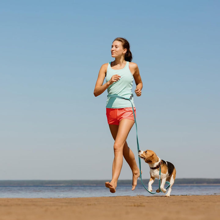 Wisedog 3m Seegrün doppelendige gummierte Hundeleine Leichtgewichtige Hands Free Leine für Hund ruts