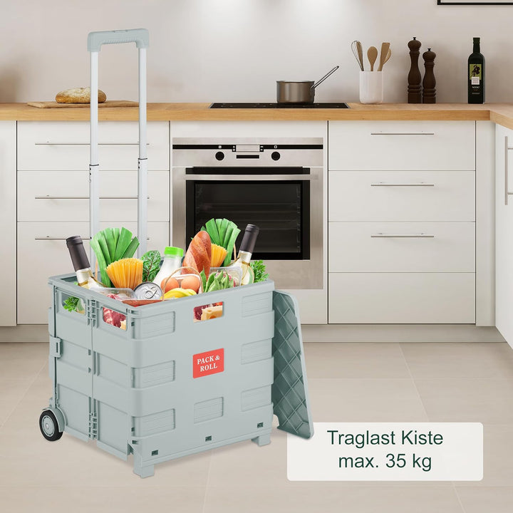 Relaxdays Einkaufstrolley, klappbar, Einkaufskorb mit Rollen, mit Deckel & Teleskopgriff, bis 35 kg,