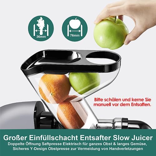 Fretta Kaltpresse Entsafter Gemüse und Obst, Slow Juicer Machine Silber, Silber