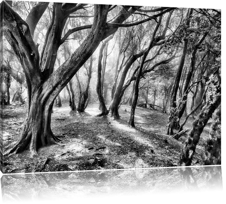 Monocrome, Wald, Format: 100x70 auf Leinwand, XXL riesige Bilder fertig gerahmt mit Keilrahmen, Kuns