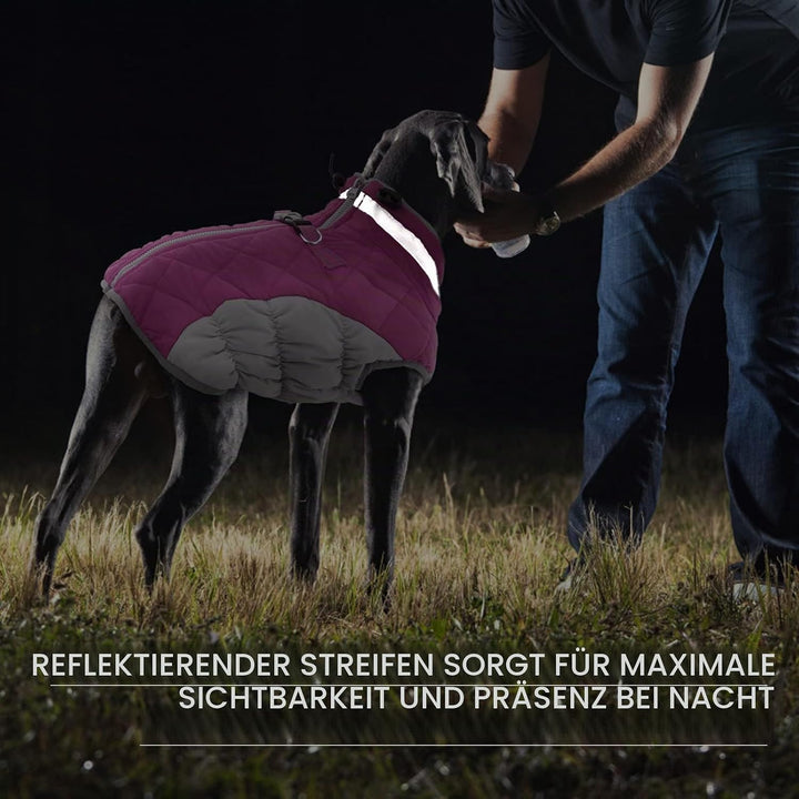 Kuoser Hundejacke Wintermantel für Grosse Hunde - Wasserdichte Winterweste Mit Geschirr - Warme Jack
