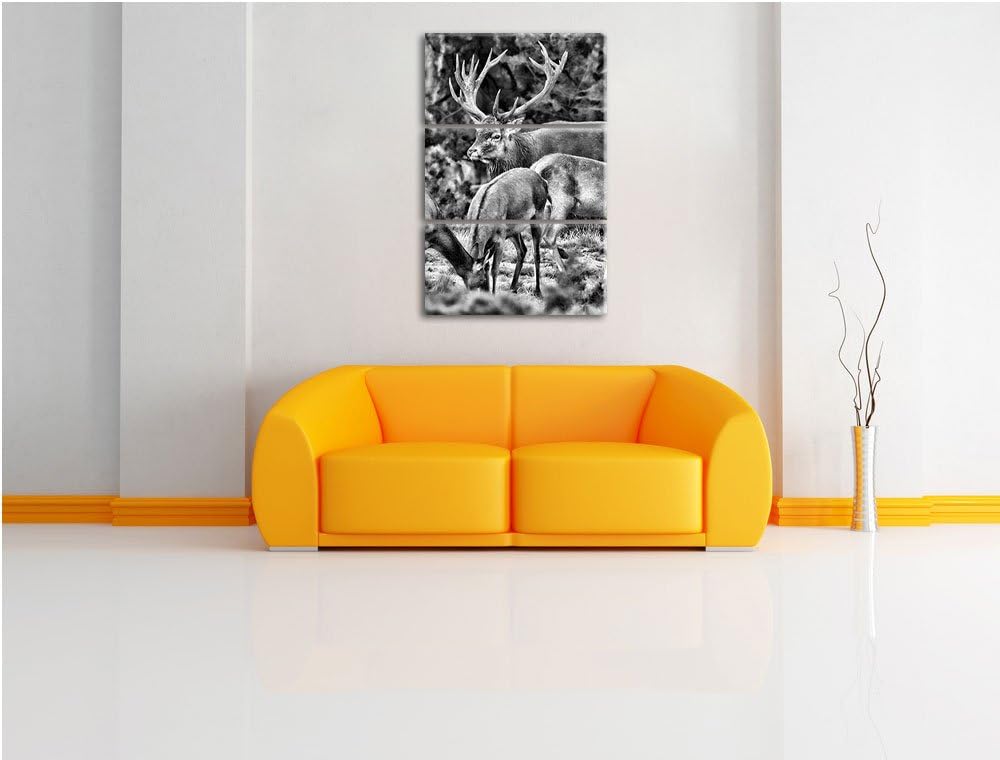 Pixxprint Hirschfamilie auf Waldlichtung als Leinwandbild/Grösse: 3 Teilig (120x80) cm/Wandbild/Kuns