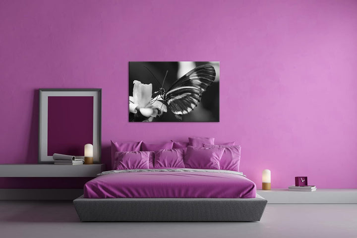 deyoli zauberhafter Schmetterling Effekt: Schwarz&Weiss Format: 80x60 als Leinwandbild, Motiv fertig