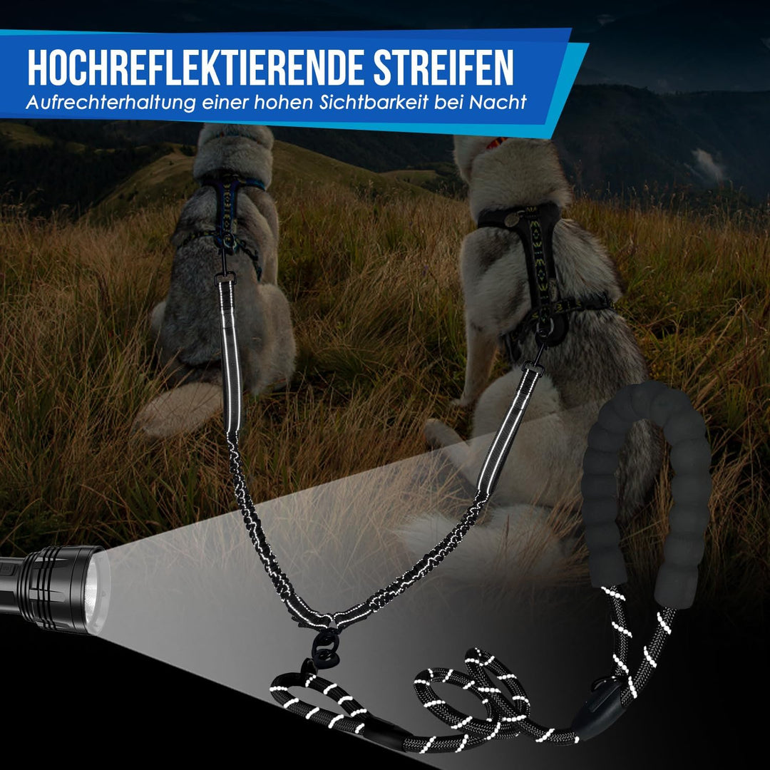 Eyein Doppelleine für 2 Hunde, Hundeleine für kleine und mittelgrosse Hunde, Flexible und reflektier