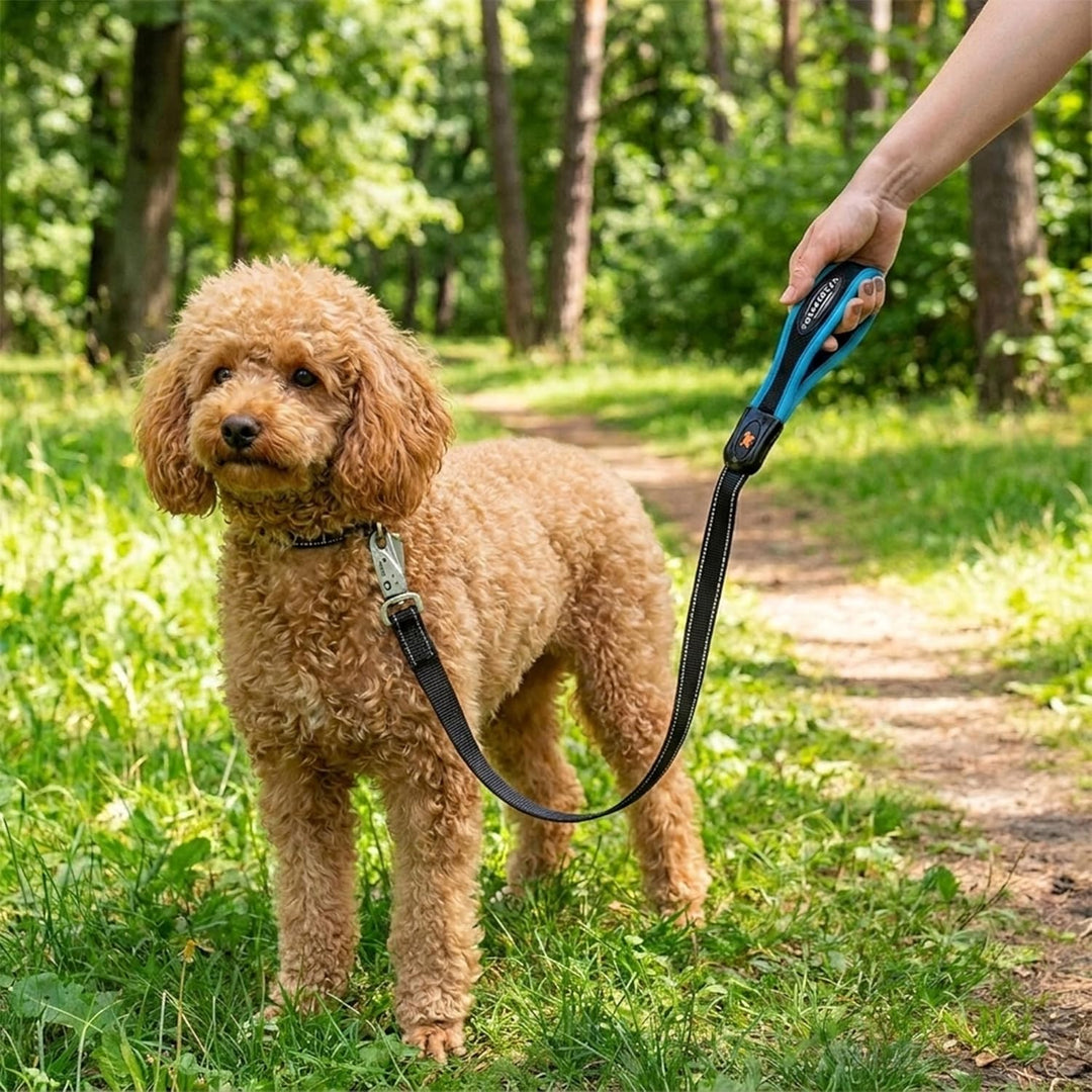 Ferplast Guinzaglio per cani ERGOFLUO MATIC, Guinzaglio per Cani Taglia Piccola, Moschettone con mec