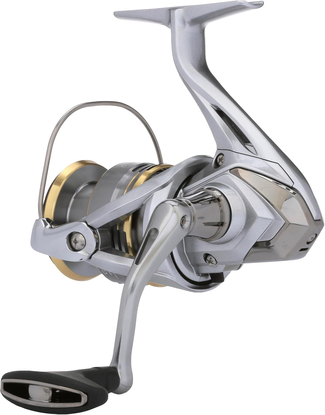 Shimano Sedona FJ Angelrolle C3000 HG, C3000 HG