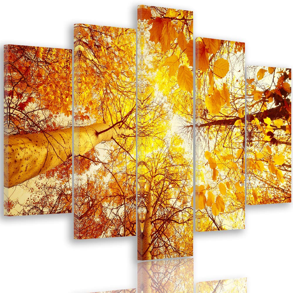 Leinwandbild 5 Teilig Landschaft Bild Wanddeko Herbst Bäume Blätter orange 200x100 cm Leinwandbild 2