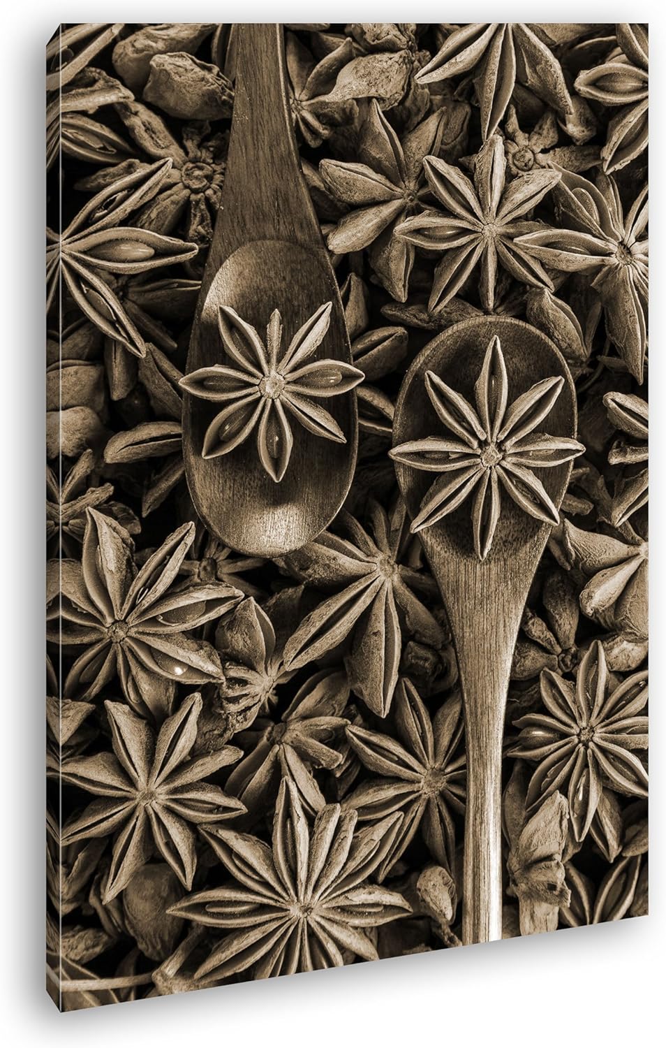 deyoli Gewürz Anise Format: 80x60 Effekt: Sepia als Leinwand, Motiv fertig gerahmt auf Echtholzrahme