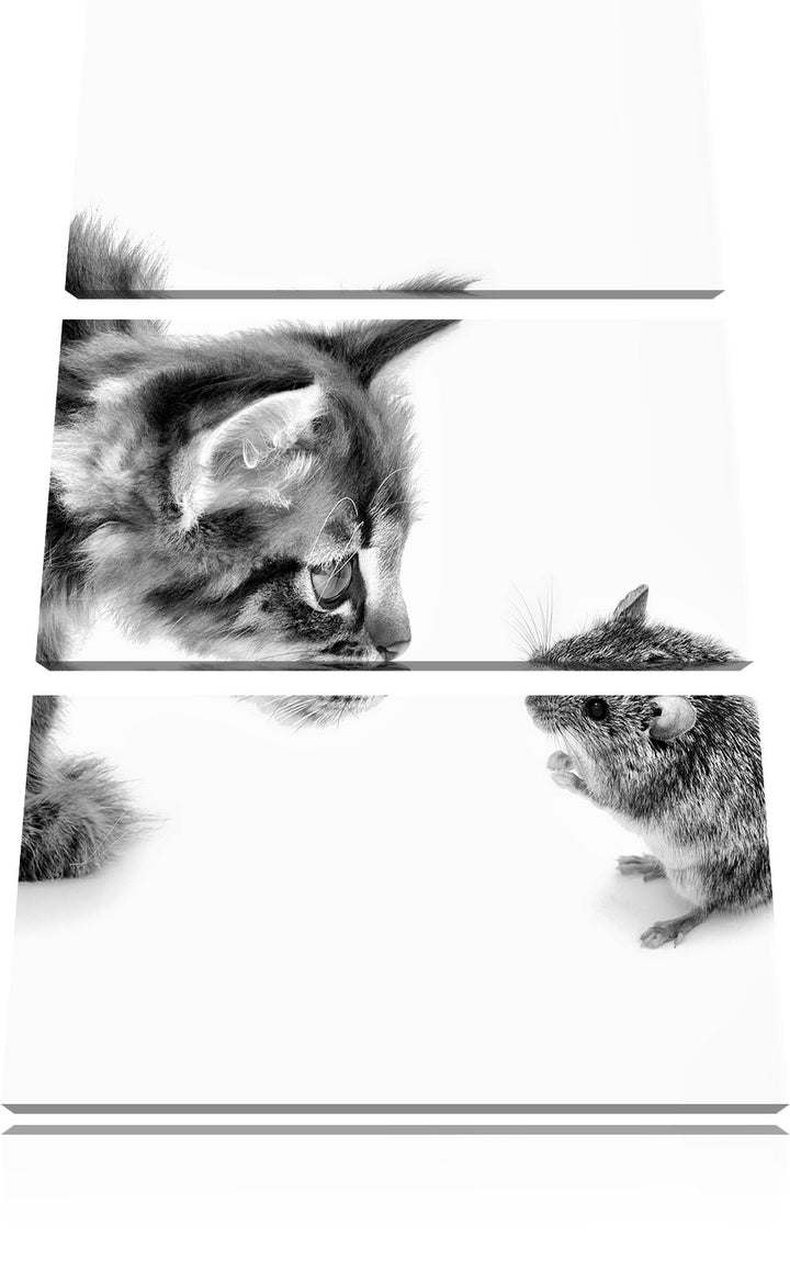 Pixxprint Katze und Maus Freunde als Leinwandbild/Grösse: 3 Teilig (120x80) cm/Wandbild/Kunstdruck/f