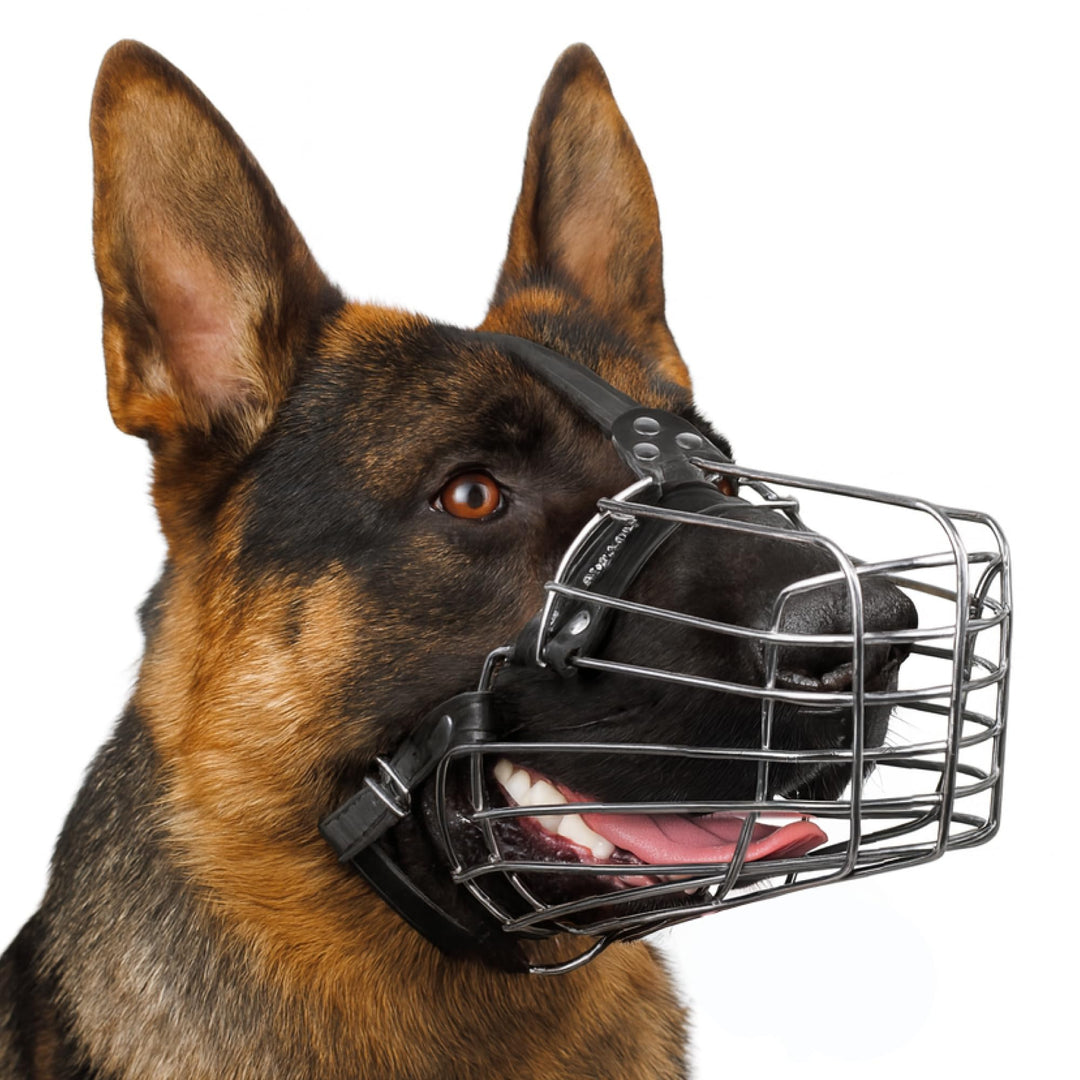 BRONZEDOG Draht-Hundemaulkorb Deutscher Schäferhund für mittelgrosse grosse Hunde Verstellbarer lang