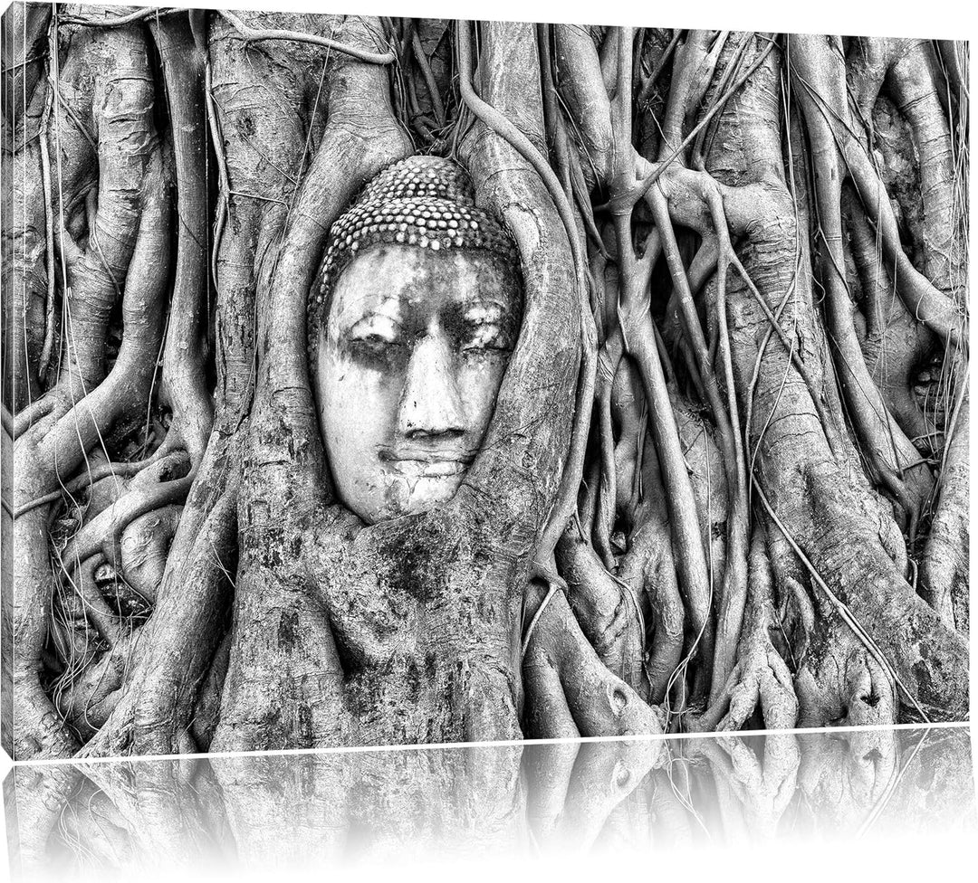 Pixxprint Monocrome, Buddha Kopf verwachsen im Baum, Format: 100x70 auf Leinwand, 100x70