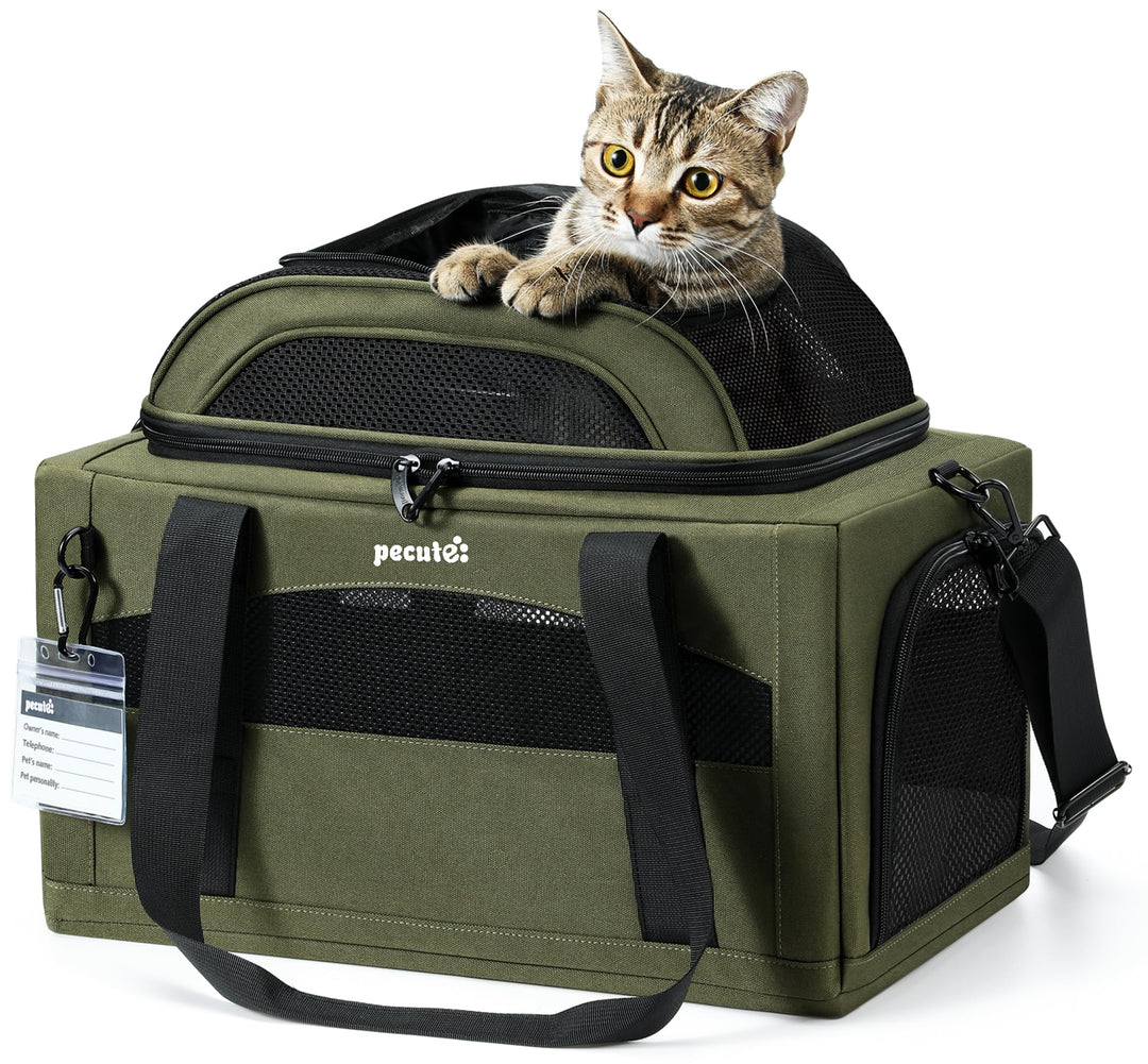 pecute Katzentasche Flugzeug Transporttasche Stabiler Halt Haustier Tragetasche, Transportbox Katze