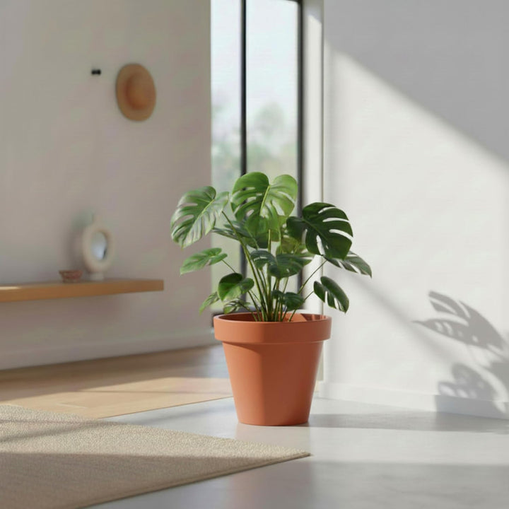 Spetebo Kunststoff Pflanzkübel L rund Ø 48 cm - Terracotta - Blumenkübel gross für Aussen und Innen