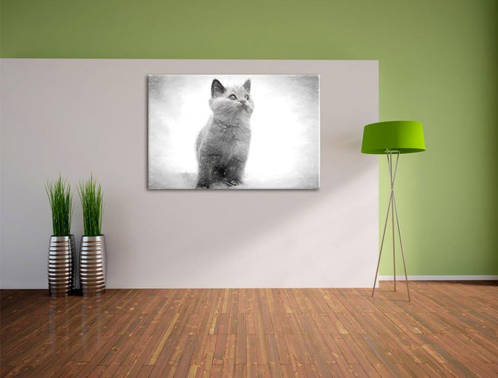 Pixxprint Niedliches Katzenbaby auf Teppich als Leinwandbild/Grösse: 100x70 cm/Wandbild/Kunstdruck/f