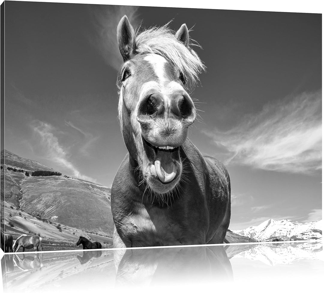 Pixxprint Pferd in der Natur als Leinwandbild/Grösse: 100x70 cm/Wandbild/Kunstdruck/fertig bespannt,