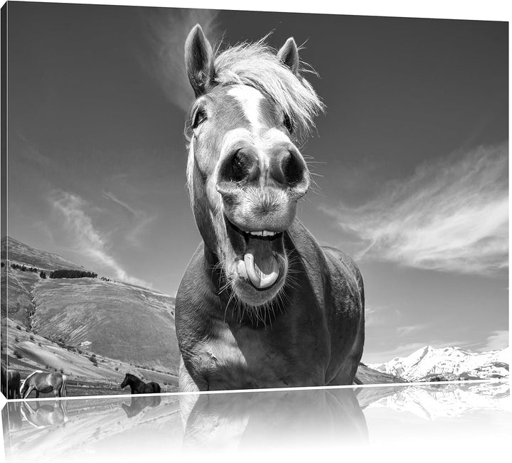 Pixxprint Pferd in der Natur als Leinwandbild/Grösse: 100x70 cm/Wandbild/Kunstdruck/fertig bespannt,