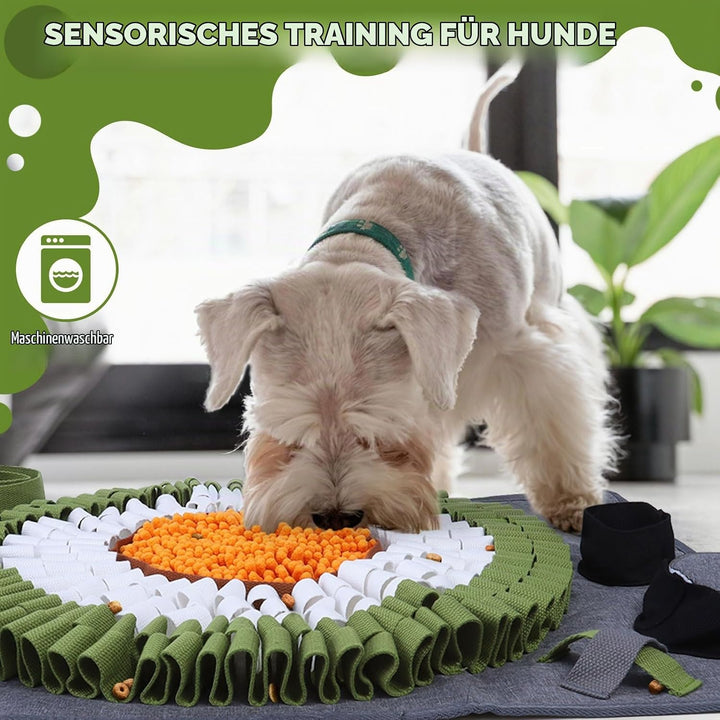 Hund Schnüffelteppich, Schnüffelteppich für Hunde Waschbar Schnüffelmatte Trainingsmatte Riechen Tra