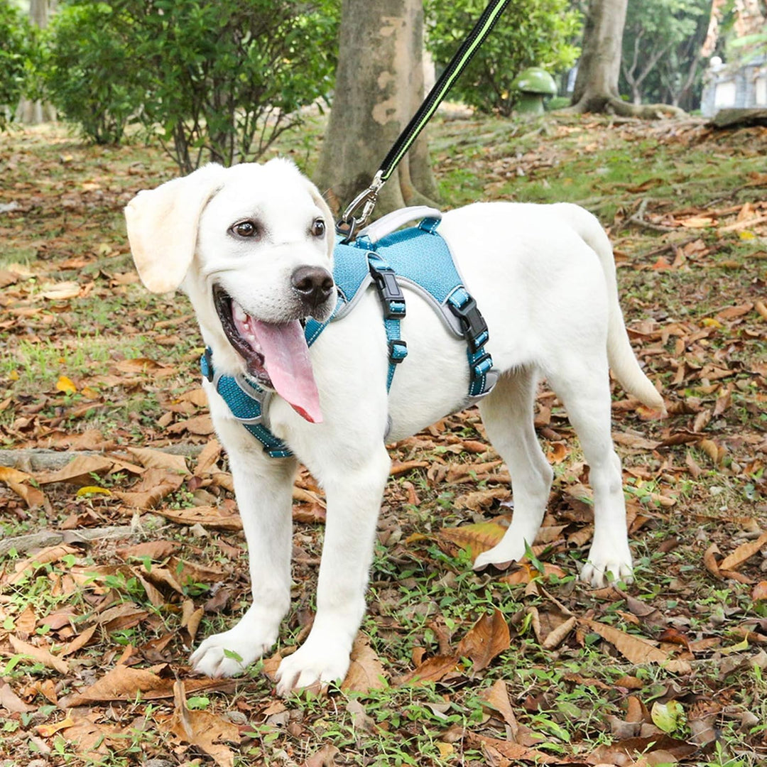 BELPRO Mehrzweck-Hundegeschirr, ausbruchsicher, kein Ziehen, reflektierend, verstellbare Weste mit s