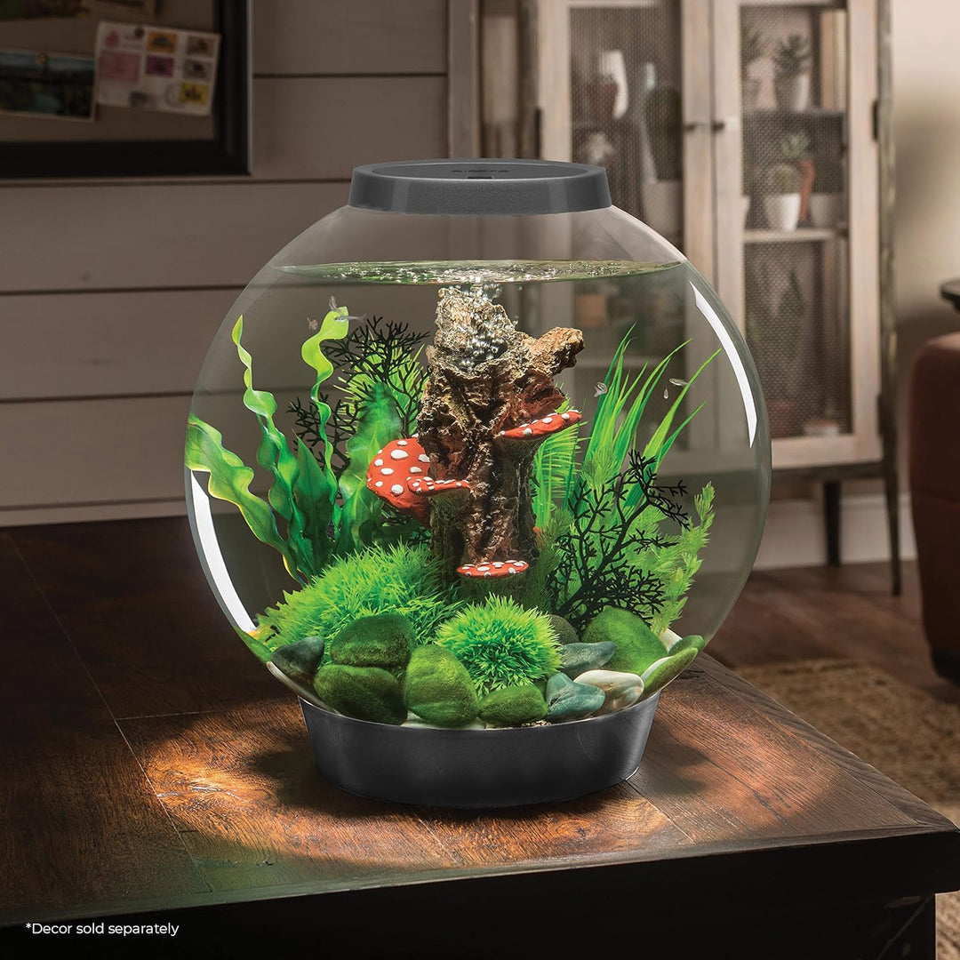 biOrb 72006 CLASSIC 30 LED silber - dekoratives Aquarium Komplett-Set mit Filter-System, LED-Beleuch