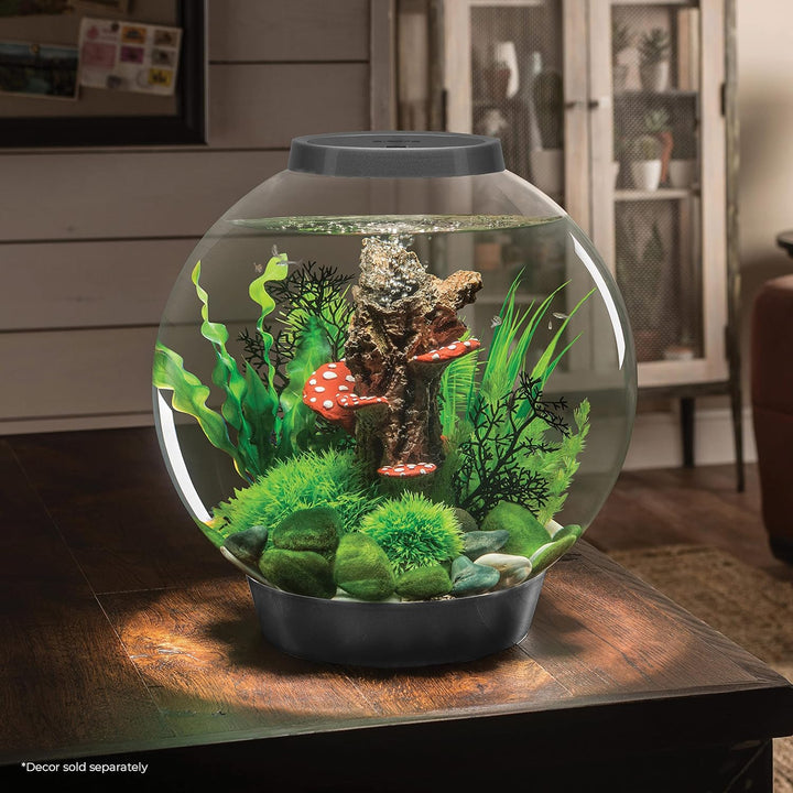 biOrb 72006 CLASSIC 30 LED silber - dekoratives Aquarium Komplett-Set mit Filter-System, LED-Beleuch