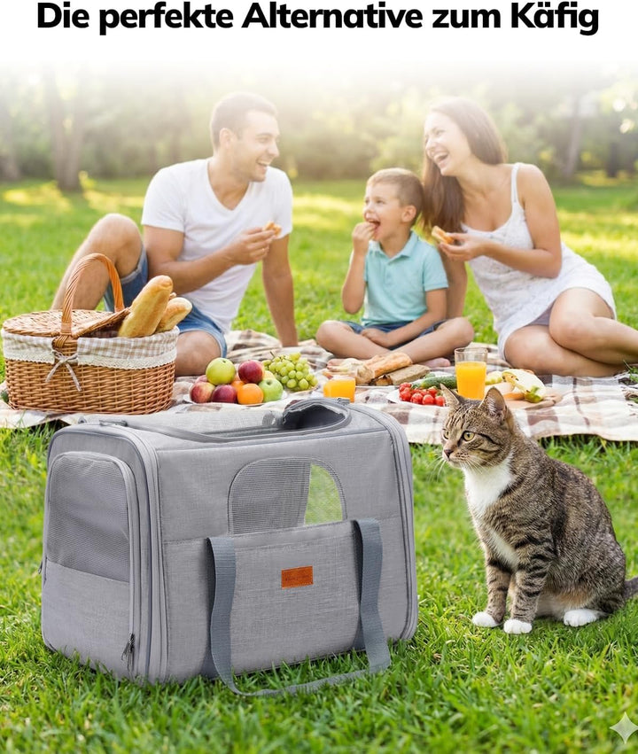 Morpilot Katzentransportbox für grosse Katzen und Welpen bis 7kg, Katzenbox Hundetasche mit Sicherhe