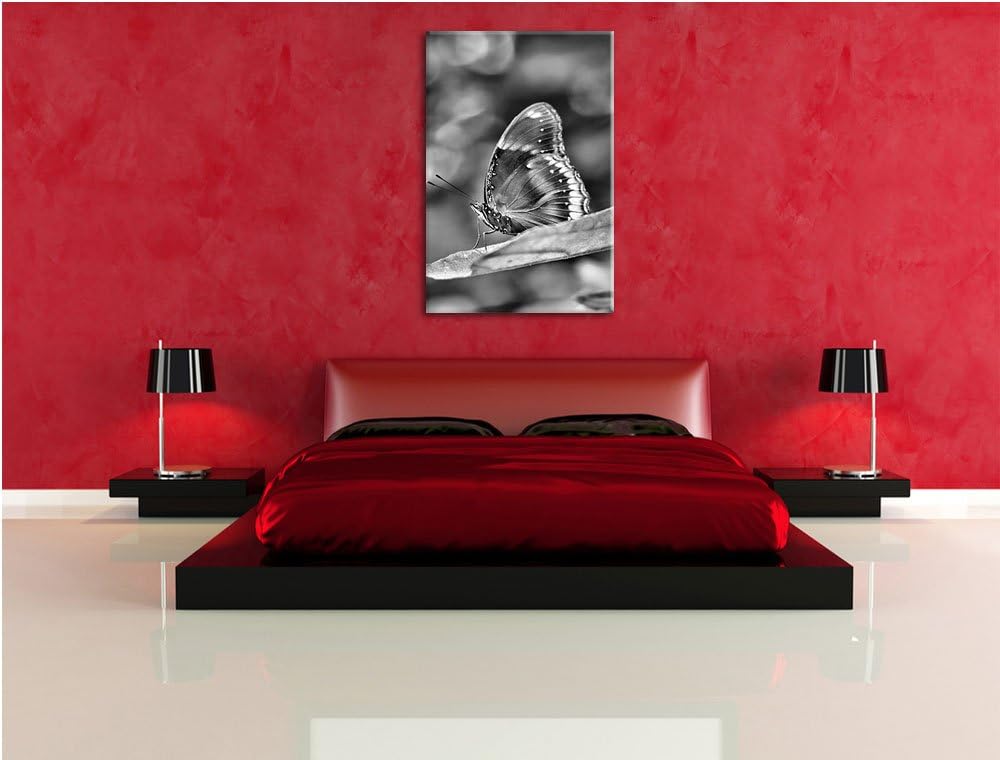 Pixxprint Monocrome, kleine bräunlicher Schmetterling, Format: 100x70 auf Leinwand, XXL riesige Bild