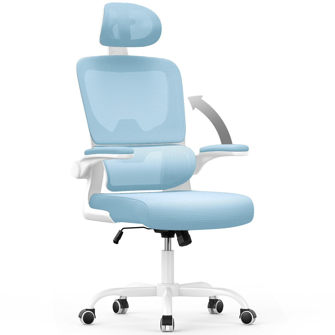 naspaluro Ergonomischer Bürostuhl: Schreibtischstuhl mit C-förmiger Lordosenstütze,Verstellbarer Kop