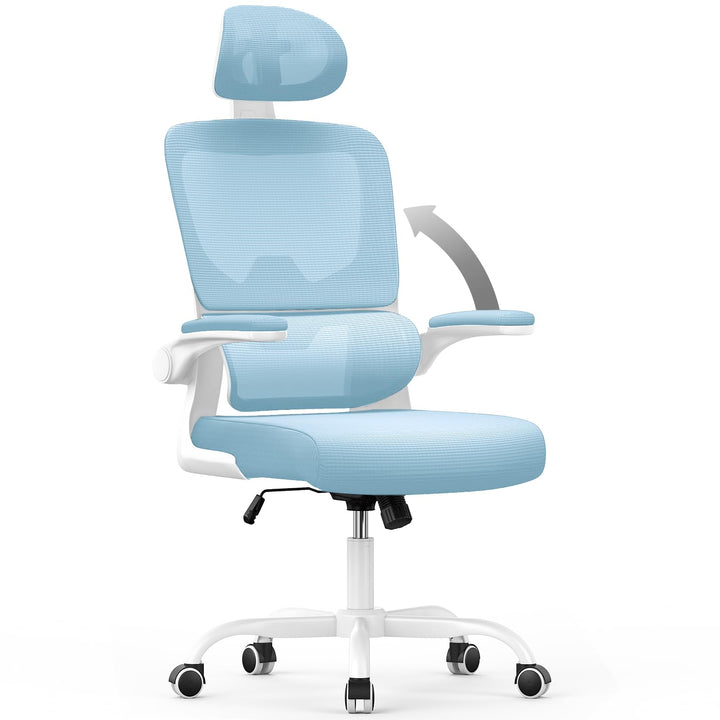 naspaluro Ergonomischer Bürostuhl: Schreibtischstuhl mit C-förmiger Lordosenstütze,Verstellbarer Kop